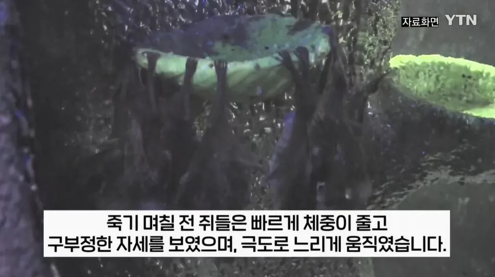 image.png.webp