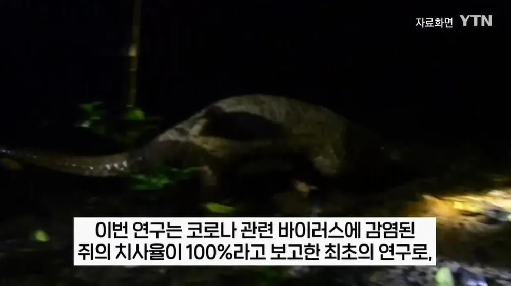 image.png.webp