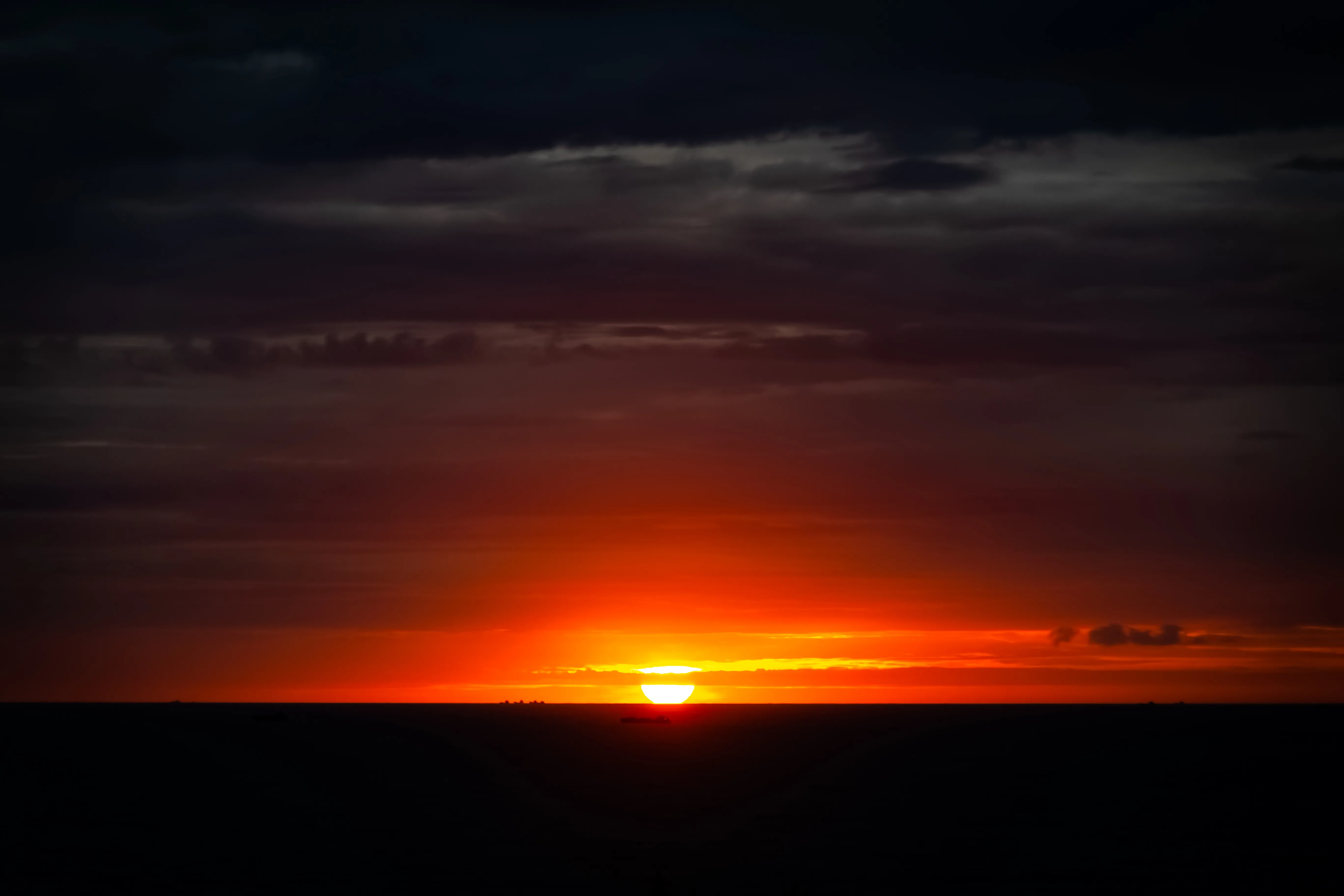 IMG_3281.jpg.webp